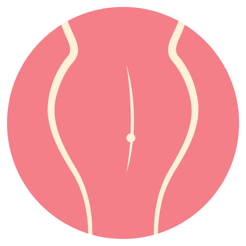 Linea nigra